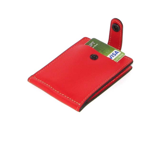 Затиск для грошей DNK Euro Clamp col.H Затиск для грошей DNK Euro Clamp col.H